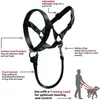 LEASSHE DOG CHARTS LEASSHES DOGALTER HALTER HALTI TRÄNING Huvud Krage Gentle Leader Harness Nylon Pet Accessory No Pull Bite Stems Lea Lea