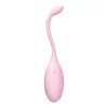 NXY Vibratoren Yetrun Sexspielzeug für Frauen, 10 Modi, USB wiederaufladbar, G-Punkt, Vagina, Flamingo, Kugel-Eier, App-gesteuerter Kegel-Kugel-Vibrator, 0411