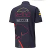 F1 Formula One T-shirt Half Sleeve POLO Quick Dry Suit Team Racing Suit Custom 2022 New