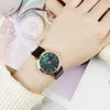 Luxo Rose Gold Watch Women Bracelet Watches Top Ladies Casual Quartz Clock Magnetic Fivele Mesh Alloy Leather Feminino