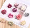 5 cm Fiorna di fiori di seta di fiore artificiale per la festa di nozze decorazione per casa decorazione fai -da -te ghirlant box rifornimento artigianato bbb15116