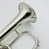 Novo BB Flugelhorn Silver Plated Instruments Professional com bocal de casos