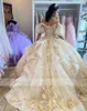 شمبانيا خفيفة قبالة ثوب كرة الكتف فستان Quinceanera مصنوعًا ثيابًا ثلاثية الأبعاد لحفلات عيد ميلاد الزهور مع فانوس