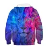 Hoodies moletons harajuku galáxy lindo leão 3d capuz estampado meninos meninas meninas de esportes casuais jumpers crianças moda animal roupas de bebê