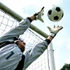 Rękawiczki sportowe Imcnzz odporne na zużycie bramkarza piłki nożnej bez poślizgu sprzęt Outdoor Sprzęt Universal Style 220920