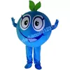 Christmas Blueberry Mascot Costumes High quality Cartoon Character Outfit Suit Halloween Outdoor Theme Party Adults Unisex Dress