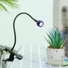 Bordslampor 395nm LED Ultraviolet Lights Clip-on Flexible Metal Tube UV Lamp USB Mini Gel Curing Light Desk för DIY Nail Arttable