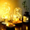 8pcs Battery Included 3 Modes LED Light String 1M Copper Wire Lights Batteries Operated Included indoor BOBO Balloon Decoration D2.0