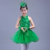 Sahne Giyim Kız Bale Dans Elbise Balerin Çocuklar Için Jimnastik Leotard Yeşil Rekabet Tutu Performans Yürümeye Başlayan Dans