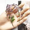 Decoratieve bloemen Kransen 1 Tag geperste gedroogde Corydalis edulis Maxim Flower Herbarium voor nail art Make -up sieraden Bookmark Phon7034835