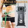 DLS-EMSlim Beauty Items 2024 New neo Emszero RF Nova 13 Tesla 5000W hiemt machine 4 RF handle pelvic stimulation pad optional