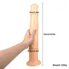 NXY DILDOS ANAL Zabawki Proste w kształcie Malezyjczyka Wisząca Kobieta Masturbacja Fałszywy Penis Imitacja Prawdziwe i dorosłe Produkty Sex 0324