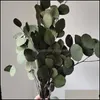 Flores decorativas grinaldas eucalipto deixa o ramalhete flor secada de buquê para decoração de casamento linguagem única e durável presente gota d
