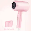 800W Hair Dryer Powerful Cold Wind Fast Heating Hair Dryer Negative Ionic Professional Salon Grade 220V Home Dryer Style Tool 5295750