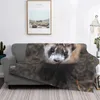 Blankets Ferrets Throw Blanket Plaid Bed Fur And Artificial Comforters For Beds With Print Heated