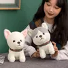 PC CM Stilleri Güzel Teddy Husky Chihuahua Peluş Oyuncak Dolgulu Yumuşak Kawaii Hayvan Karikatür Dolls Hediye Çocuklar İçin Bebek Çocukları J220704