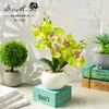 Fiori decorativi ghirlande una set di succulente di orchidei farfalle artificiali piante in vaso bonsai casa decorazione del balcone finto verde finta