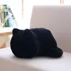 Juguetes de gato de peluche Kawaii con personal, muñecos de gato de sombra bonitos, muñeca de regalo para niños, juguetes de animales encantadores, almohadas suaves para decoración del hogar en 3 colores