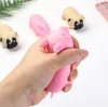 Novità Giochi Giocattoli Decompressione Squishy Pink Lala Pig And Dog Release Pressure Toy Per bambini e adulti