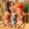 CM Kawaii Squirrel Plush Toys wielokolorowa symulacja lalki dla zwierząt nadziewane miękkie domowe dekoracyjne dla dzieci dziewczyny J220704