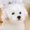 Bichon Frais Chiot En Peluche Chien En Peluche Câlin Mignon Simulation Animaux Fluffy Bébé Poupées Cadeaux D'anniversaire Pour Enfants Dropshipping J220704