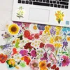 Nowe seksowne 50pcs Spring Blossoms Piękne naklejki na kwiaty graffiti Ins Laptop Bagaż Guitar Telefon Wodoodporny klasyczne naklejki