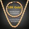 Oorbellen Ketting Sieraden Sets 2 stks/set Twisted Link Chain Hip Hop Armband Set Goud Zilver Kleur Choker Mannen Punk Kettingen SetEarrings Tr