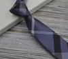 Lyxig designers Tie Fashion Silk Tyg Slips Klassisk Blå Slips Män Kontrollera Brev Neckwear Casual Handgjorda Necktull