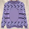 Womens Knit Sweater Winter Autumn Jumper Knitted Tops Round Neck Fashion Sweaters