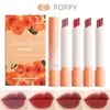 Brillant à lèvres Cigarette rouge à lèvres ensemble 4 pièces mat longue durée hydratant antiadhésif tasse coréen cosmétiques Maquillaje TSLM1Lip Wish22