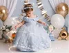 2022 Cute Light Sky Blue Lace Flower Girl Dresses For Wedding 3D Appliqued Ball Gown Toddler Pageant Gowns Tulle Pearls Floor Length Kids Birthday Dress