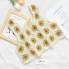 Women's Tanks & Camis Factory Women Crochet Top Vintage Knitting Floral Clothing Embroidery Sleeveless SweaterWomen's