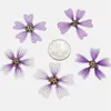 120 pièces pressées séchées Malva Sinensis Cavan fleur pour résine époxy pendentif collier fabrication de bijoux maquillage artisanat bricolage accessoires 312G