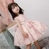 Girl's Dresses Fashion Sleeveless Baby Girl Dress Flower Pink Kids Christening Gown Birthday Princess Party For Baptism