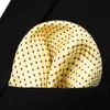 Cravate pour hommes Vérifiez Nouveau mouchoir à cravate de soie tissé de couleur jaune