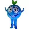 Jul Blueberry Mascot Costumes Högkvalitativ tecknad karaktärutrustning Suit Halloween Outdoor Theme Party vuxna unisex klänning