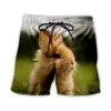 Men's Shorts Men/Women 3D Printed Casual Animal / Leopard/ Tiger Fashion Streetwear Men Loose Sporting A21Men's Men'sMen's