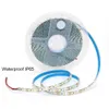 5M 600LELDS LED Strip 2835 DC12V 24V 120leds/M Home Red Ice Blue Green Green Pink Fancible and Cuttable Love Bar