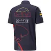 F1 Racing Polo Shirts T-shirt Formuła 1 Summer Nowi fani na świeżym powietrzu na krótki czas sportowy sport Top OwwersizealGom1