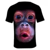 T-shirty męskie męskie Tshirty Summer Modna O-Neck Krótkie T-shirt Zwierzęta Unisex Monkey/Lion 3D Printed Funny T Shirt Homme Fitness Teemqs7k