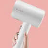 Home Hair Dryer Portable Negative Lon Blower Quick Dry Low Noise Dryer For Traveling Household Salon Tools