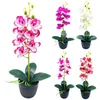 Dekoracyjne kwiaty Wreńki Zestaw sztuczny orchidea naczyniową półkę naśladowanie roślin doniczkowych Dekoracja domowych kwiatów