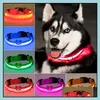 Mode led nylon hond halsbanden kat harnas flitsen licht nacht veiligheid huisdier kraag MTI kleur XS-XL maat kerst accessoires drop levering