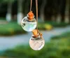 5ml Empty Cars Perfume Bottle Glass Bottles Car Hanging Air Freshener Ornament Pendant SN4450