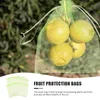 Bilarrangör Väskor Fruktnätväska Mesh Garden Protection Barrier Plant Net Cover Bird Insect DrawString Grape Nylon Mango ExcrisingCar