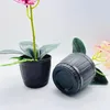 Decorative Flowers & Wreaths Set Artificial Orchid Pot Showcase Shelf Imitation Potted Plant Decoration Home Flowerpots Desktop Ornaments Gi