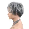 Ny sexig kortmix grå kvinnor cosplay party syntetiska hår peruker