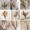 79Pcs Natural Dried Fluffy Pampas Grass Bouquet Set , Boho Home Decor Pompous Grass Large Reed Bunny Tail Wheat Stalk Decorative 220513