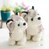 2022 ANIMAIS ENCONTRADO DE MEMULAÇÃO BONITO Puppy Husky Doll Plush Toys Gifts Crianças Presente de Natal Dolls Kids Toy