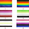 LGBT lesbienne gay bisexuel Transgenre Semi asexuel pansexuel Gay Pride drapeau arc-en-ciel rouge à lèvres drapeau lesbien CPA4205 0323